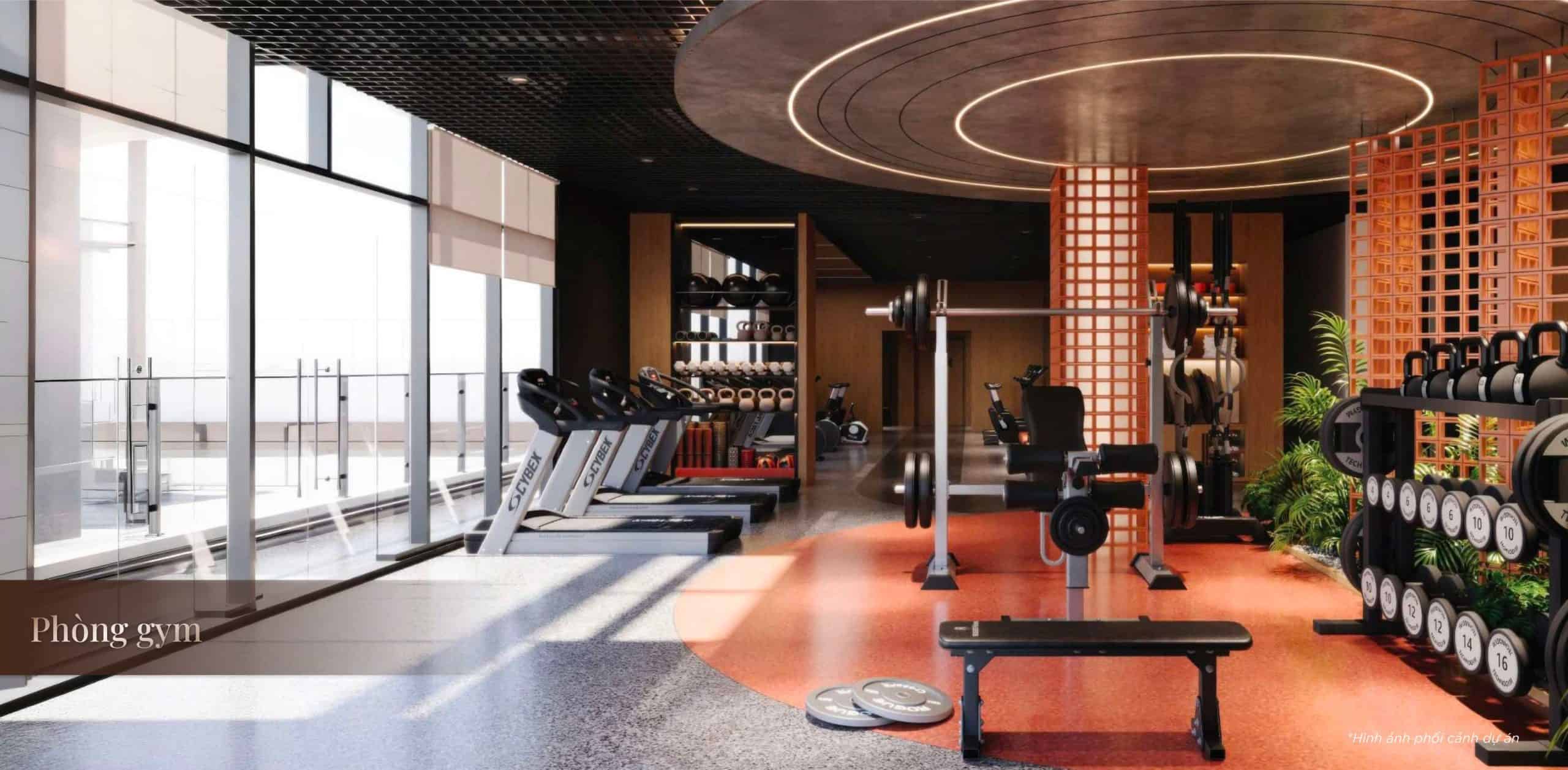 Phòng Gym trang bị thiết bị hiện đại tại Vlasta Premier